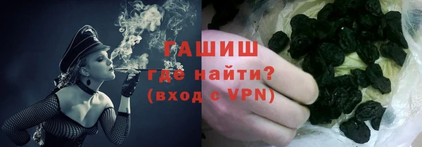гашик Няндома