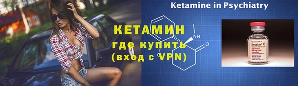 гашик Няндома