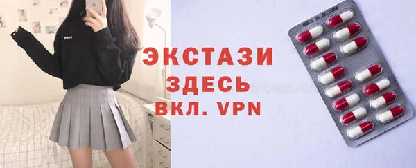 гашик Няндома