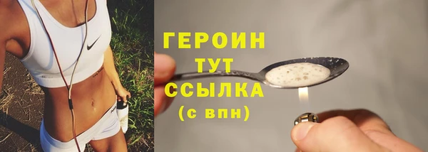 гашик Няндома