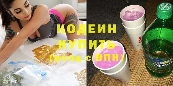 гашик Няндома