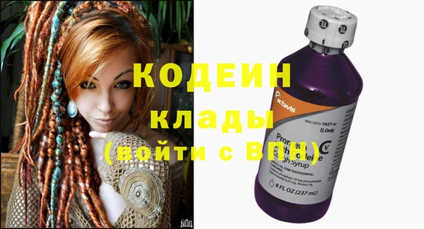 гашик Няндома