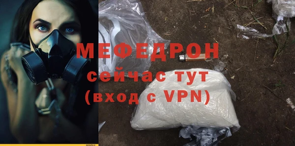 гашик Няндома
