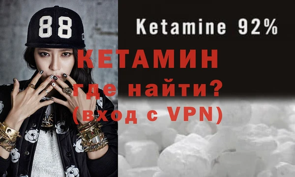 гашик Няндома