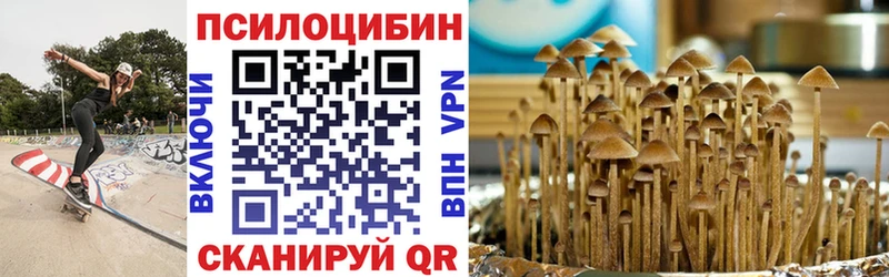 купить наркоту  даркнет Telegram  Галлюциногенные грибы Psilocybine cubensis  Серпухов 