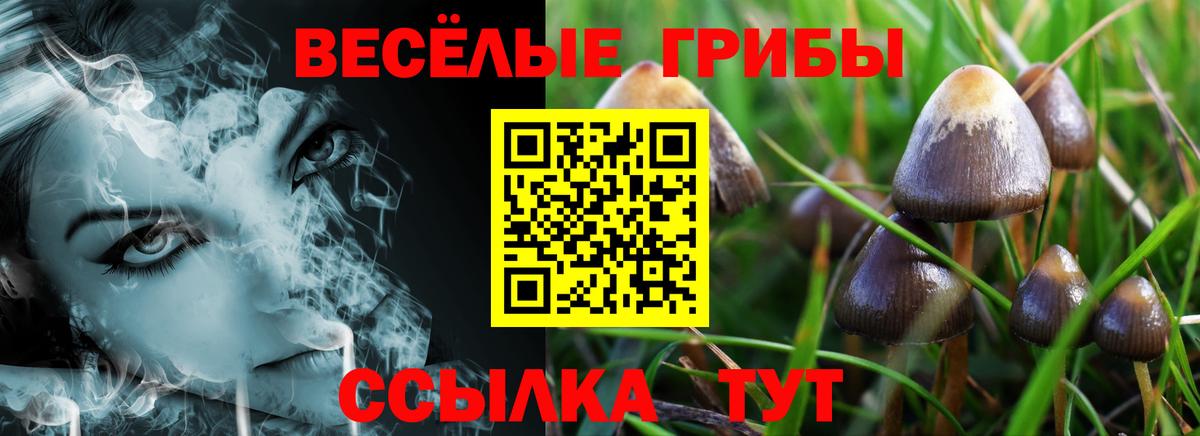 Псилоцибиновые грибы Psilocybine cubensis Серпухов