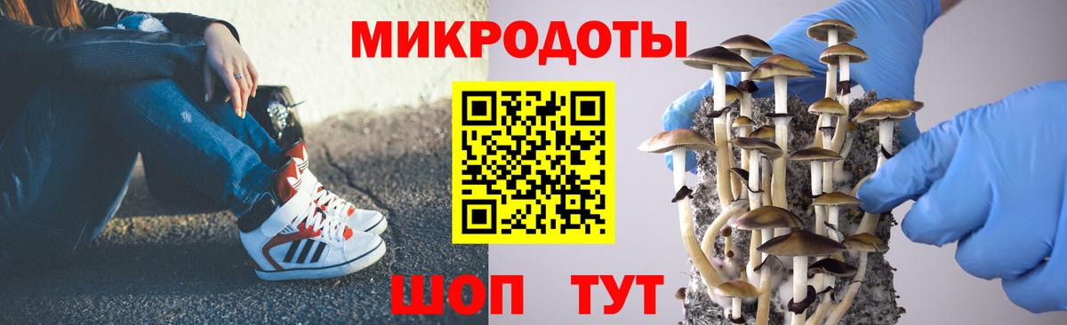 Псилоцибиновые грибы Psilocybe  Вход с VPN  Серпухов  Галлюциногенные грибы мухоморы 